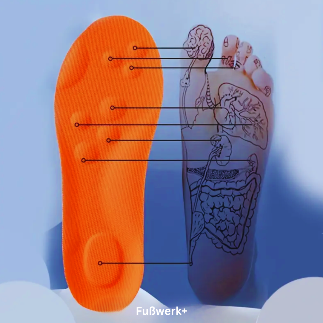 Fußwerk+ Sohle