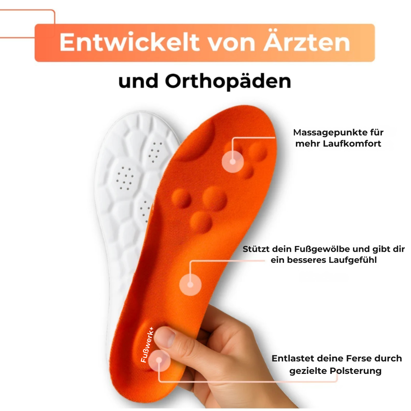 Fußwerk+ Sohle